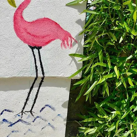 Rocco Guest house 3*